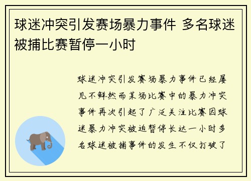 球迷冲突引发赛场暴力事件 多名球迷被捕比赛暂停一小时 球迷冲突引发赛场暴力事件 多名球迷被捕比赛暂停一小时